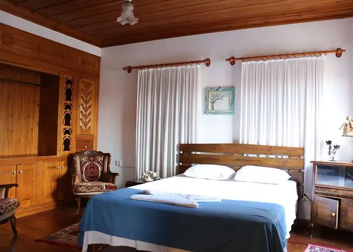 Отель Manolian Sirince 3*