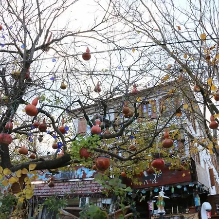 Manolian Sirince Selçuk