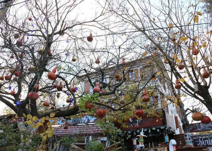 Manolian şirince Selçuk